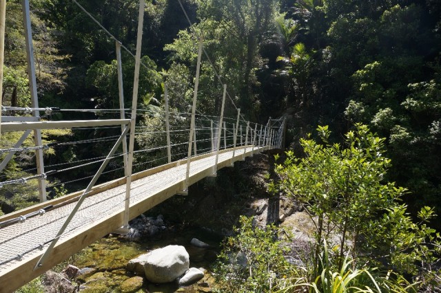 (2) Swinging bridge, A. Tasman Park