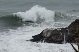 (3)  Kust bij Tauranga Bay