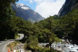 (5) richting Milford Sound -4-