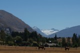 (6) Wanaka view