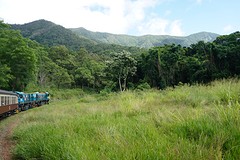 (12) Scenic treinreis naar Kuranda -2-