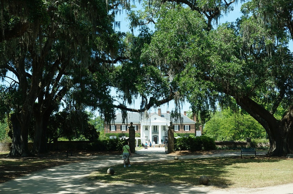 (12) Boone plantation