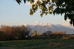 (13) Good morning Colorado!