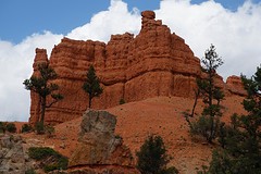 (13) Red Canyon