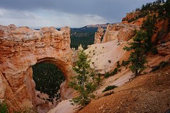 (13) Bryce's views -2-