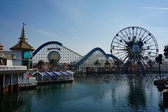 (14) Disneyland