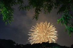 (14) Vuurwerk bij Mickey