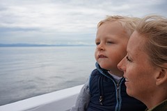 (14) Whale watching