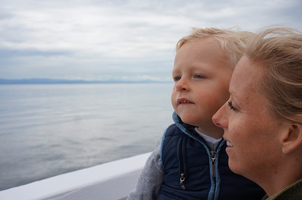 (14) Whale watching