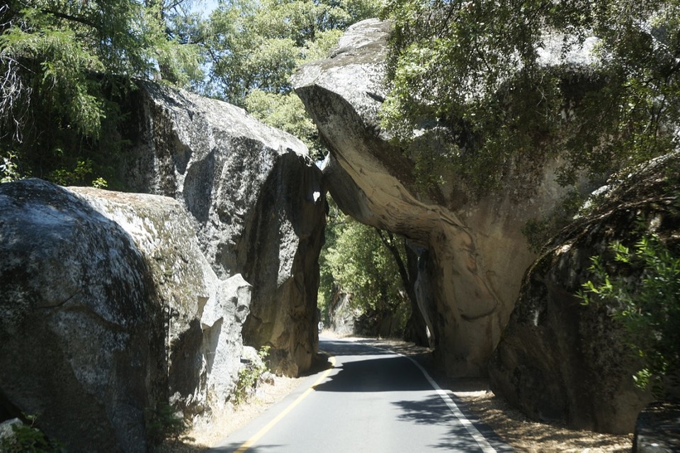 (14) entree Yosemite