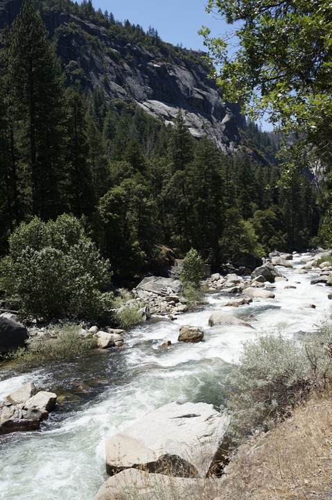 (14) Yosemite