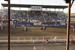 (15) Rodeo