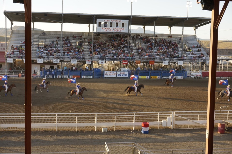 (15) Rodeo