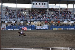 (15) Rodeo -2-