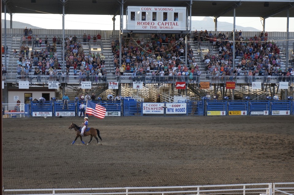 (15) Rodeo -2-