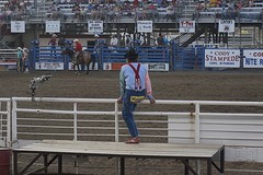 (15) Rodeo -3-