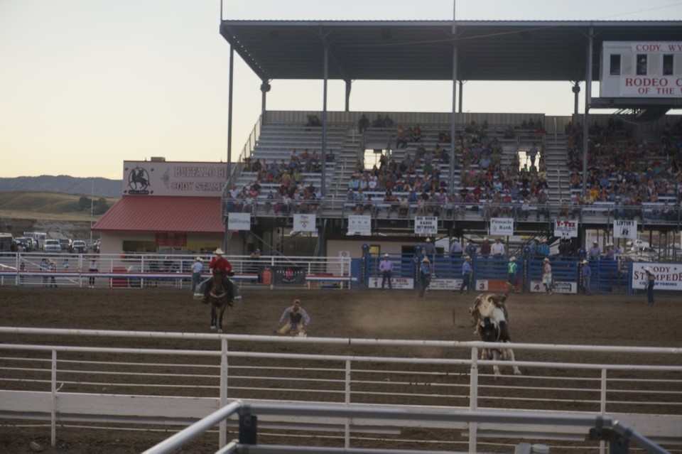 (15) Rodeo -5-