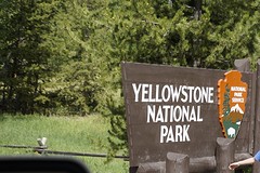 (15) Yellowstone
