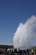 (15) Old Faithful