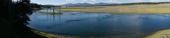 (15) Yellowstone -2-