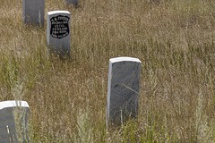 (15) Custer's graf
