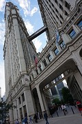 (16) Chicago