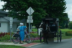 (16) Amish