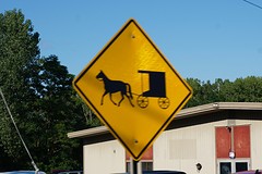 (16) snelle jongens die Amish