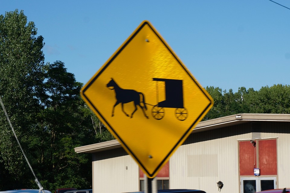 (16) snelle jongens die Amish