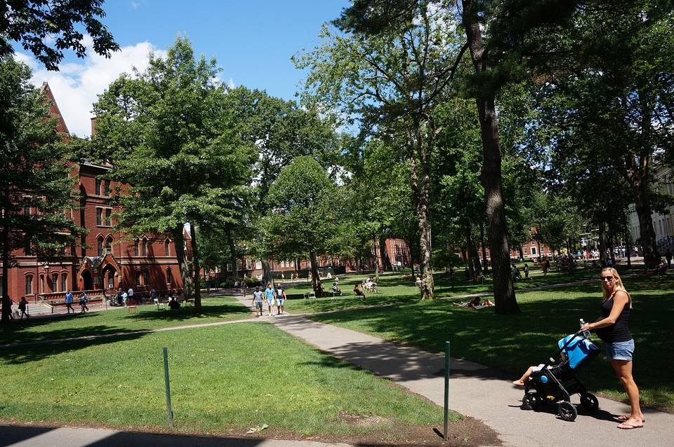 (16) Harvard