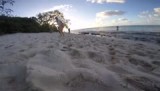 Turtle Hatch!