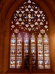 St. Patricks Cathedrale view insight
