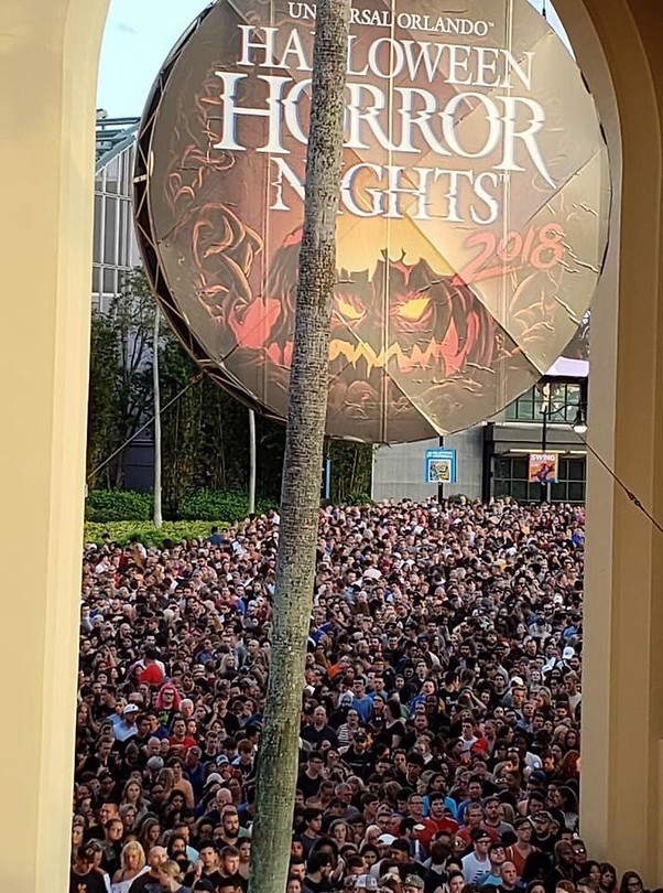 The Crowd