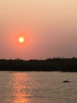 Hippo sunset