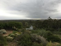 Uitzicht in Addo
