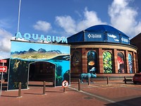 Aquarium
