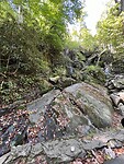 D7E0ECA9-4DE9-4313-95E6-F0EC9E3B22AD
