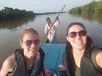Mangrove tour