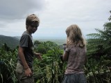 The daintree rainforest, oudste regenwoud ter wereld