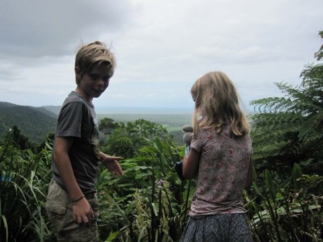 The daintree rainforest, oudste regenwoud ter wereld