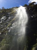 Fairy Waterfall, Milford Sound