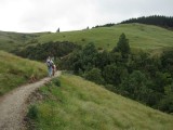 Wandelen naar de Glowworm cave