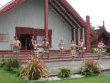 Zooooo'n authentieke Maori show