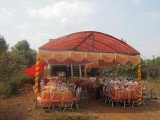 Wedding tent, met koe