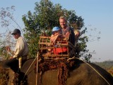 Het is leuk op een olifant!