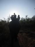 Met de meisjes op de olifant