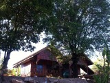 De bungalows van Sainamhai resort, met een fantastische eigenaar