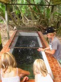 Bij de turtle farm