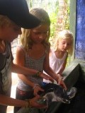 De kinderen mogen een grote schildpad vasthouden