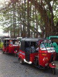 Ook in Sri Lanka stikt het van de tuktuks
